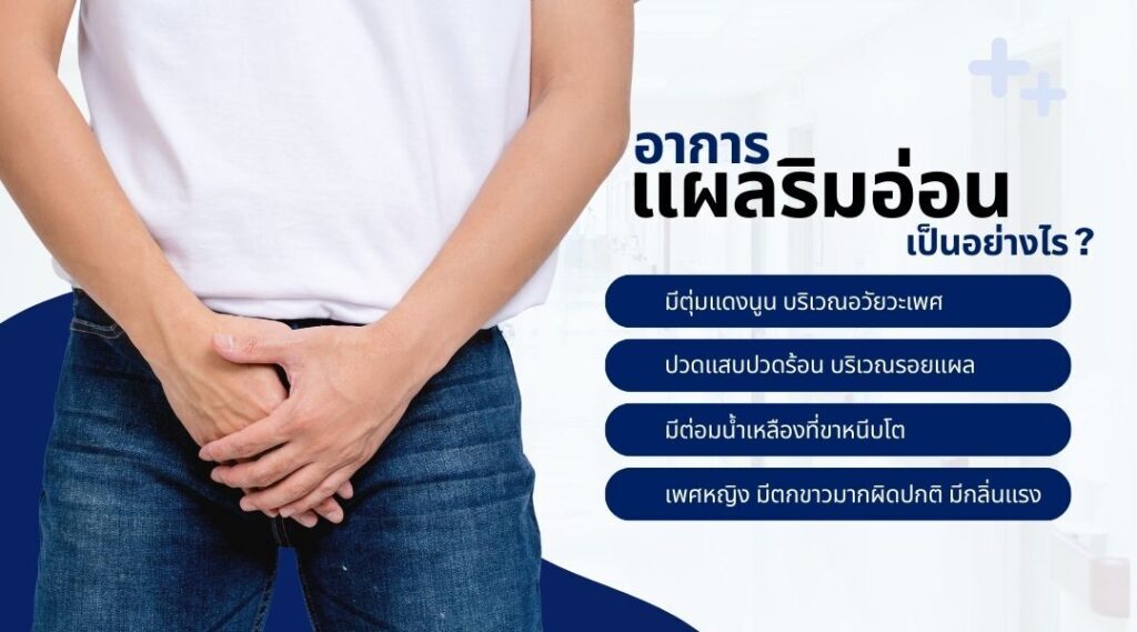 แผลริมอ่อน | Chancroid