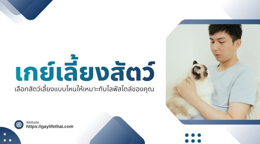 เกย์เลี้ยงสัตว์ | เลือกสัตว์เลี้ยงแบบไหนให้เหมาะกับไลฟ์สไตล์ของคุณ