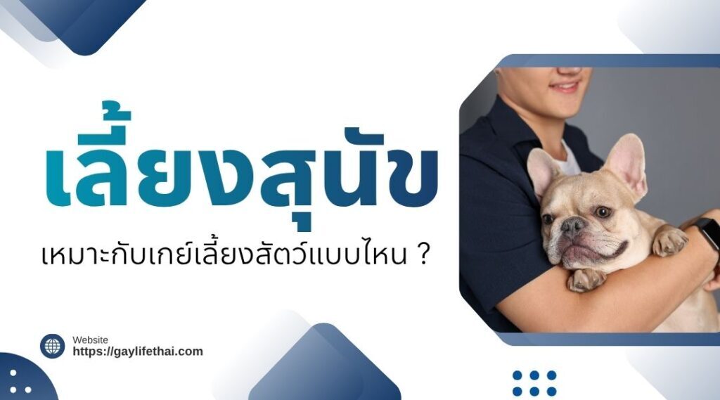 เลี้ยงสุนัข เหมาะกับเกย์เลี้ยงสัตว์แบบไหน