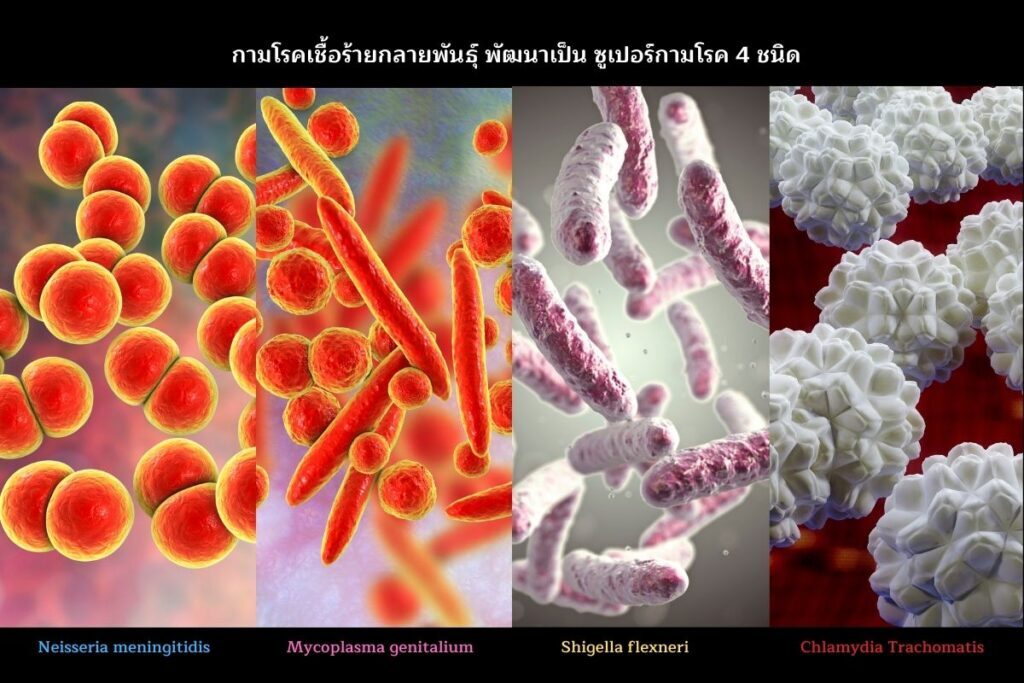 ซูเปอร์กามโรค 4 ชนิด