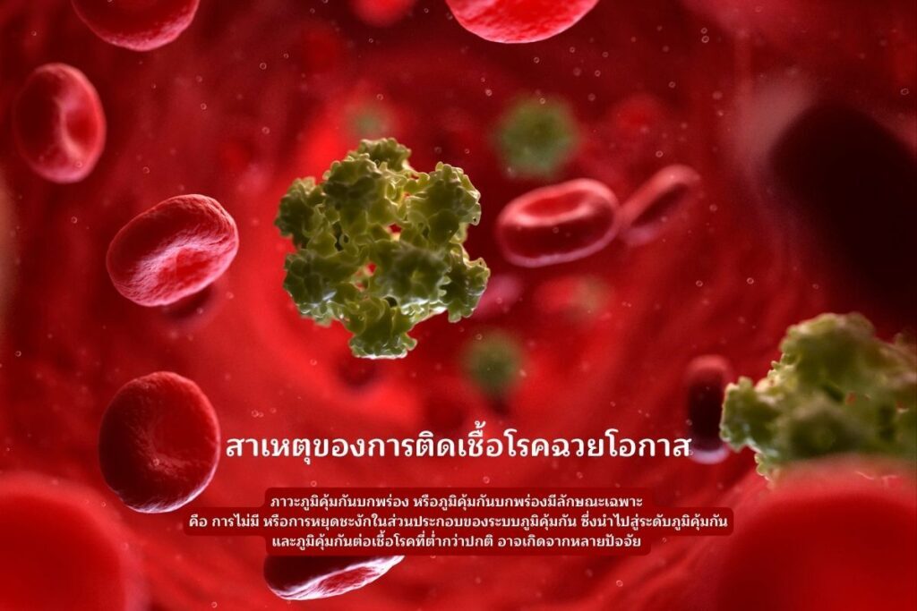 สาเหตุของการติดเชื้อ