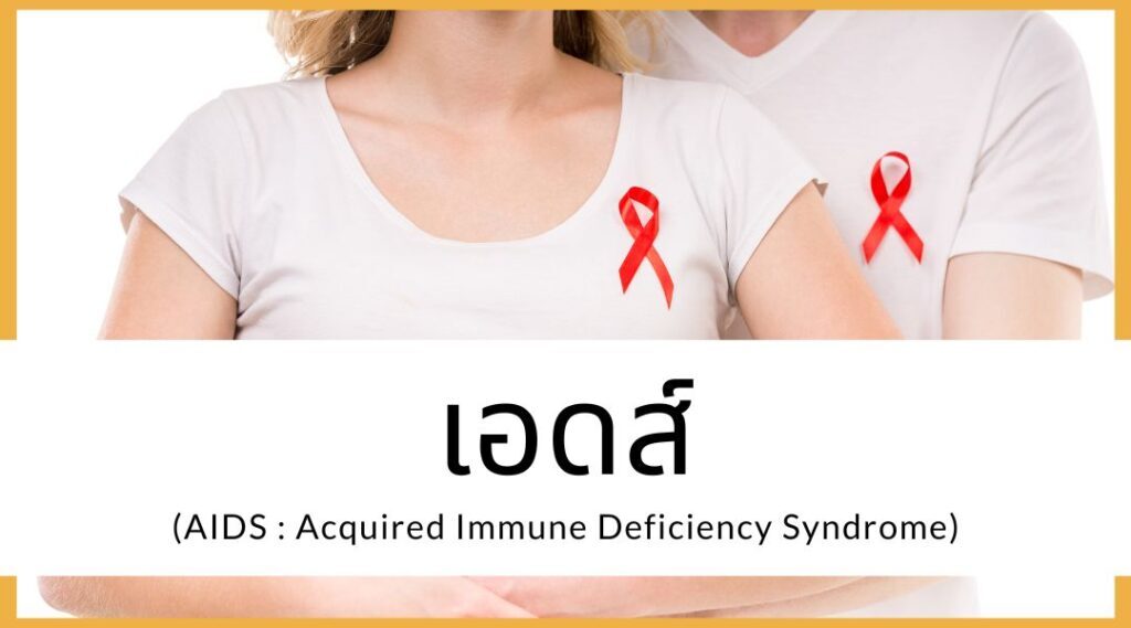 เอดส์ (AIDS : Acquired Immune Deficiency Syndrome)