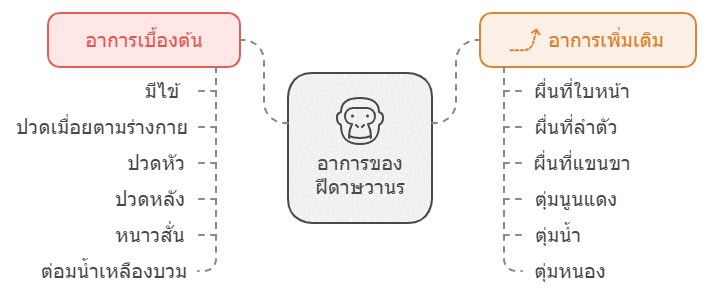ฝีดาษวานร คืออะไร รู้ก่อน ป้องกันได้