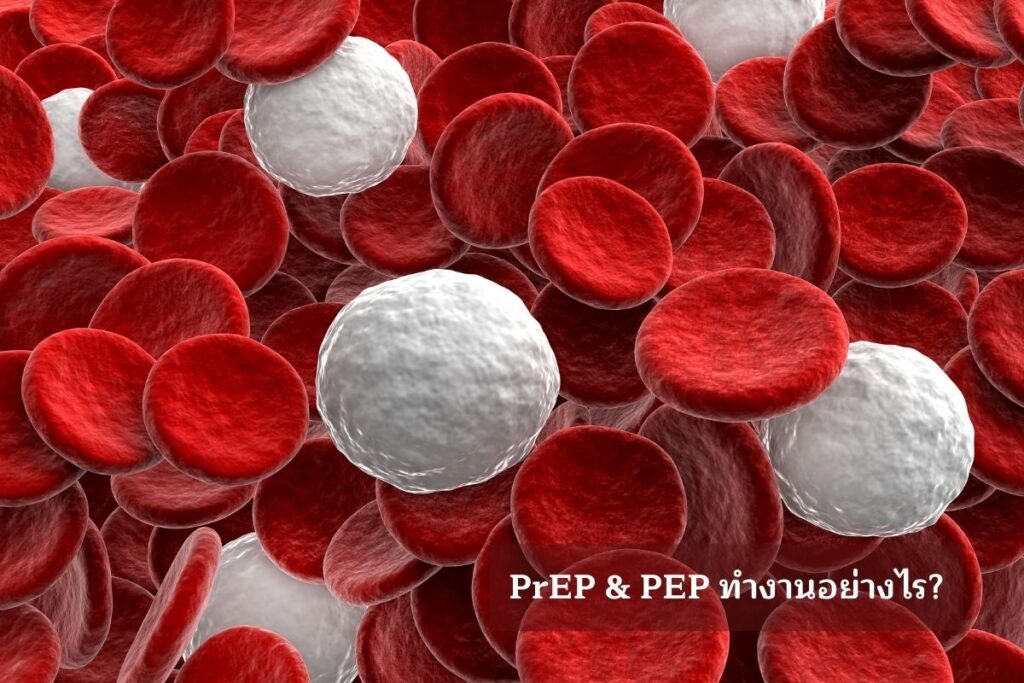PrEP & PEP ทำงานอย่างไร