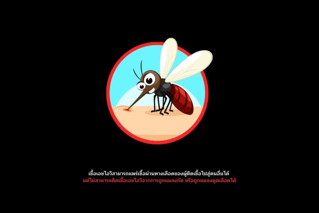 ไม่ติดต่อทางแมลงกัด