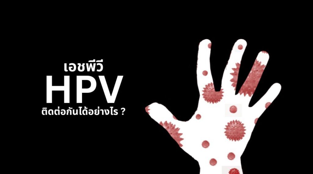 เอชพีวี (HPV) ติดต่อกันได้อย่างไร