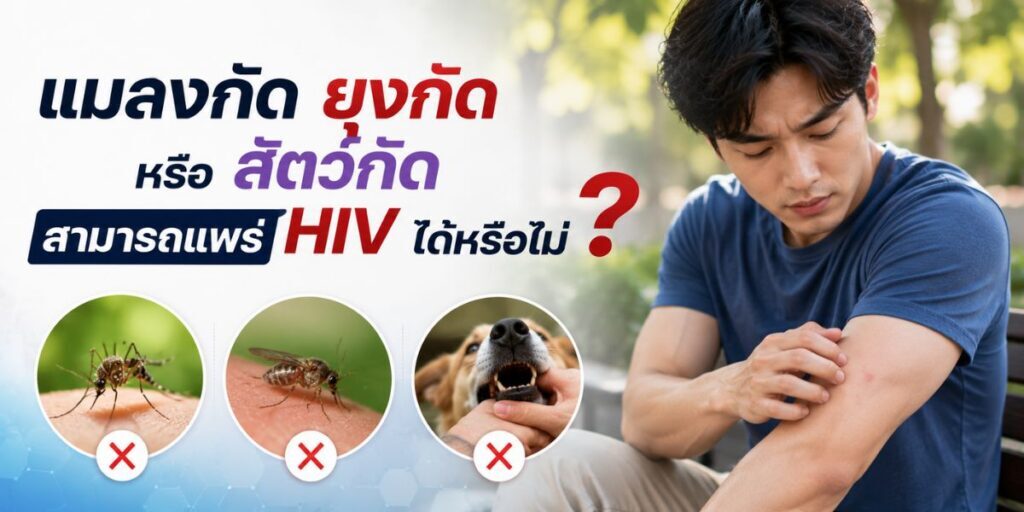แมลงกัด ยุงกัด หรือสัตว์กัด สามารถแพร่ HIV ได้หรือไม่