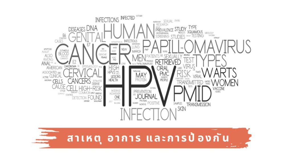 HPV สาเหตุ อาการ และการป้องกัน