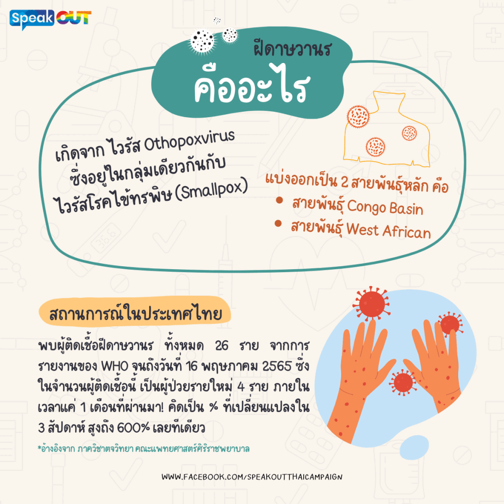 ฝีดาษวานร กลับมาระบาดใหม่อีกครั้ง!