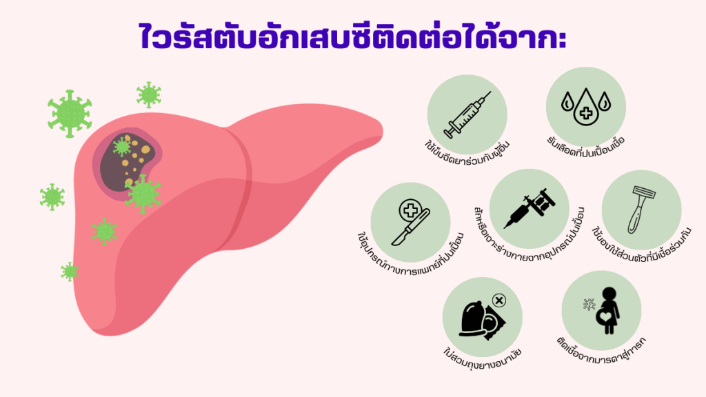 ไวรัสตับอักเสบซี  คืออะไร แพร่เชื้ออย่างไร?