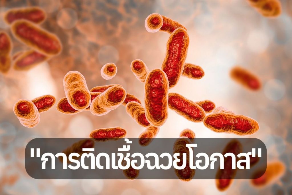 การติดเชื้อฉวยโอกาส