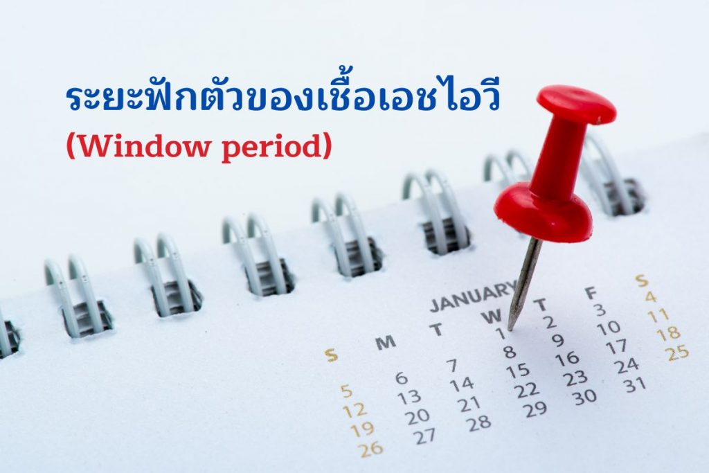 ระยะฟักตัวของเชื้อเอชไอวี (Window period) 