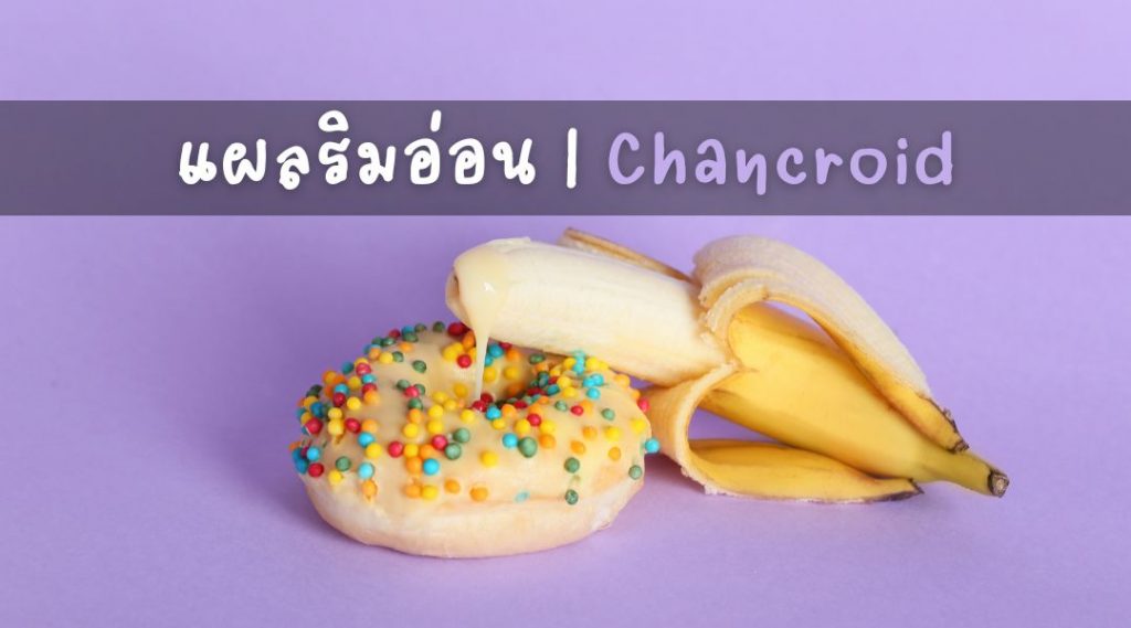 แผลริมอ่อน | Chancroid