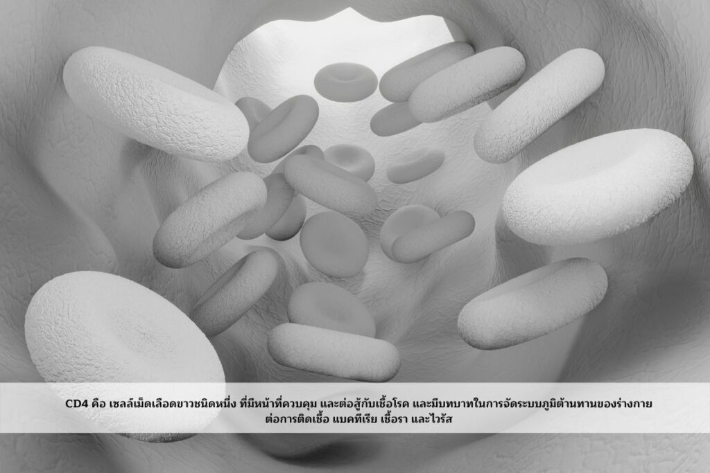 CD4 คืออะไร?