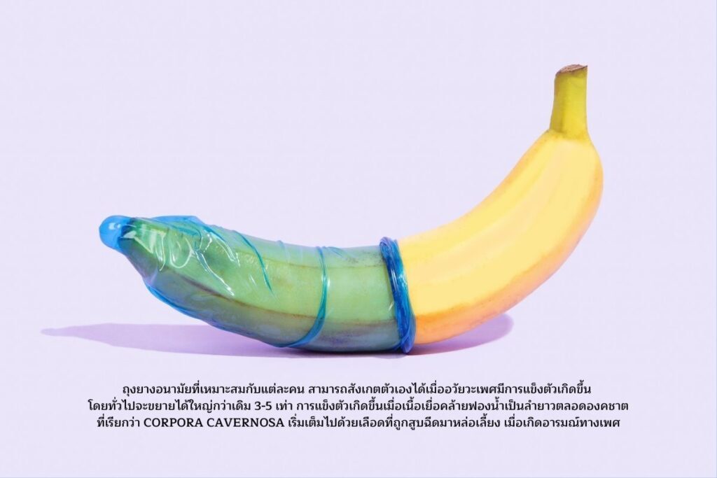 ขนาดของถุงยางอนามัย