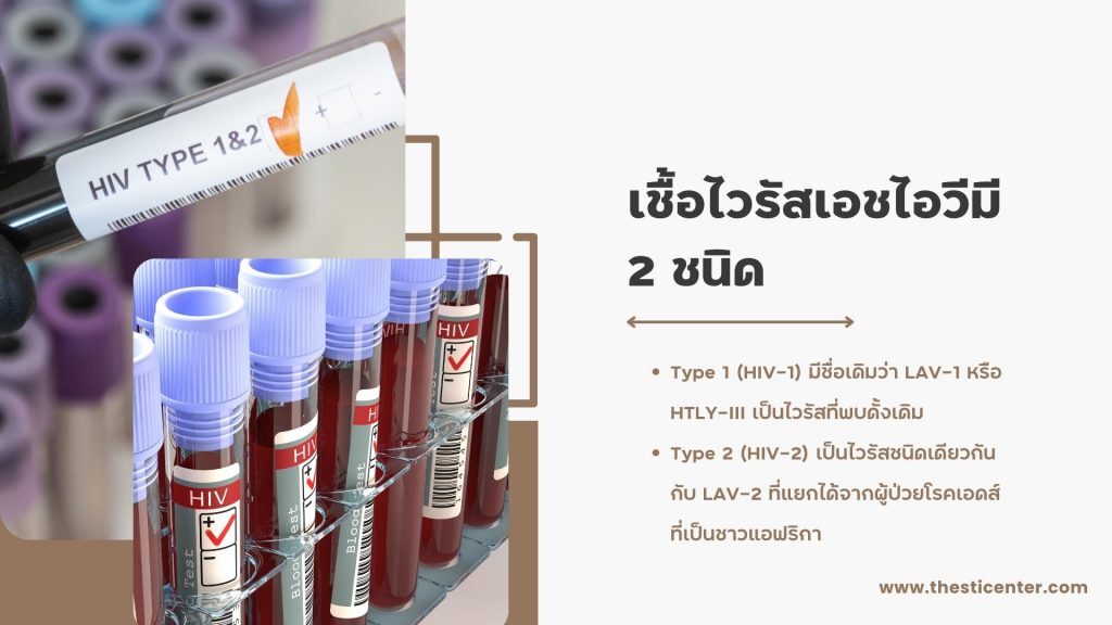 เชื้อไวรัสเอชไอวีมี 2 ชนิด