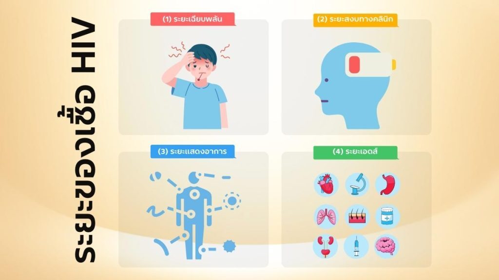 ผู้ติด HIV จะพัฒนาไปสู่โรคเอดส์ได้อย่างไร