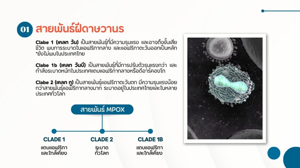 ฝีดาษวานร มาเช็คอาการว่าคุณมีความเสี่ยงหรือไม่?