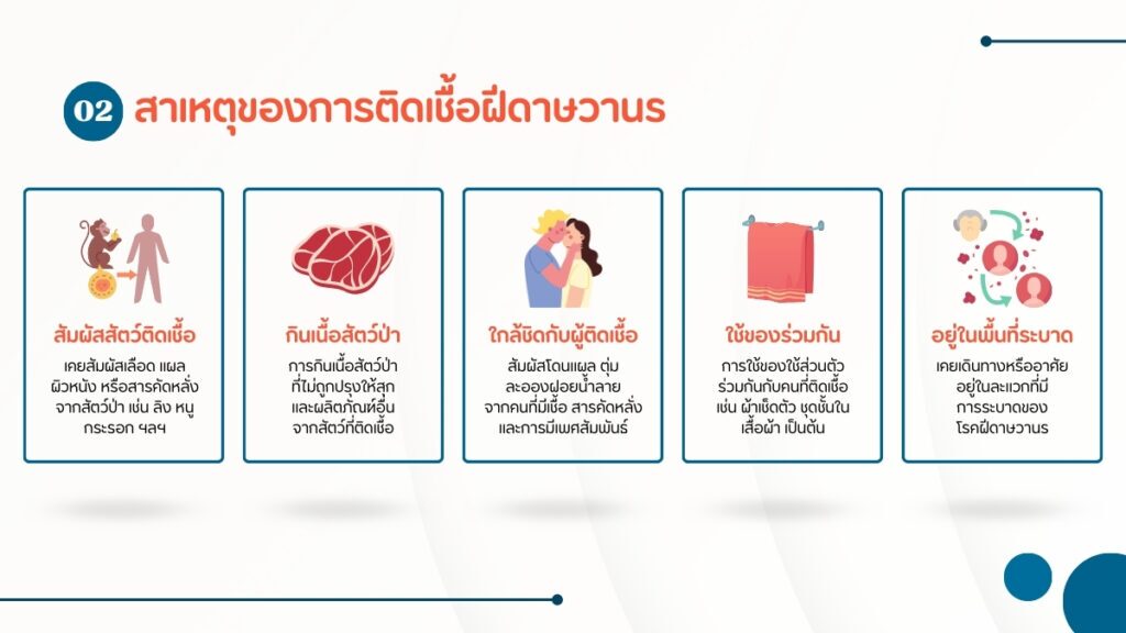 สาเหตุของการติดเชื้อ ฝีดาษวานร
