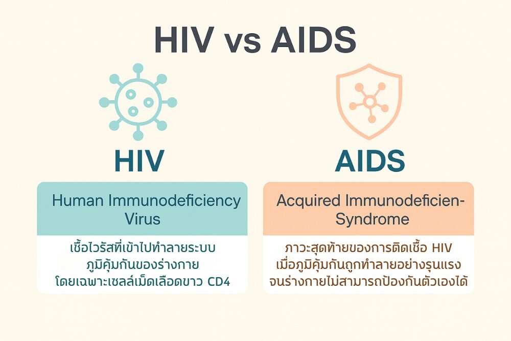 ติดเชื้อ HIV ไม่ได้แปลว่าต้องป่วยเป็นเอดส์ทันที เข้าใจให้ถูกต้อง