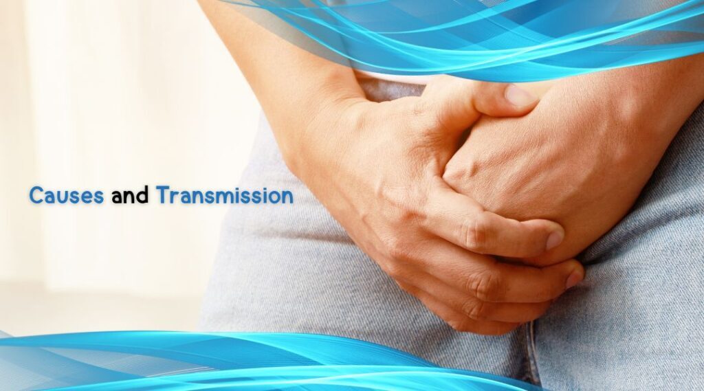 Understanding HPV : Symptoms Causes and Prevention